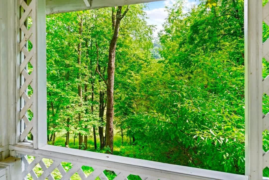 Gated Mansion - Basketball Court Movie Theater Views Villa Big Stone Gap Exteriör bild